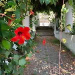 Casa Diana Arianna 아파트 리파리