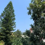 Casa Diana Arianna 아파트