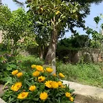 아파트 Casa Diana Arianna *