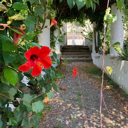 Casa Diana Arianna Apartment Lipari (Isola Lipari)
