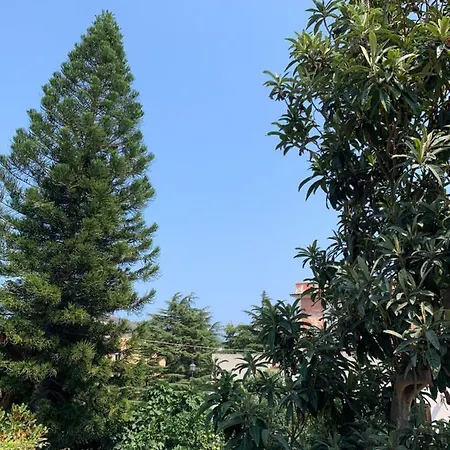 Casa Diana Arianna Appartamento