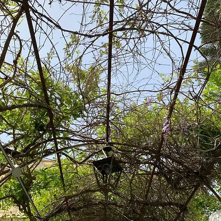 Appartamento Casa Diana Arianna Città di Lipari